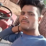 shivani1564gupta profile picture
