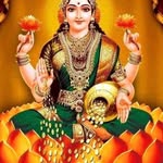 shivareddy7816 profile picture