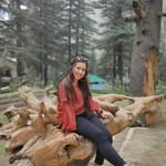 shivisengar123 profile picture