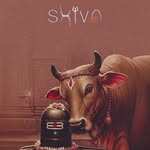 shiv_quotes08 profile picture