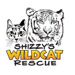 shizzyswildcatrescue profile picture