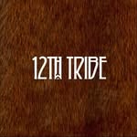 shop12thtribe profile picture