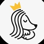 shopkingboy profile picture