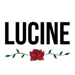 shoplucine profile picture