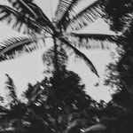shot.by.jordy.backup profile picture