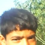shotodada8 profile picture