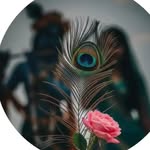 shree_singh336 profile picture