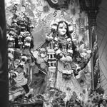 shreyansh_samarth profile picture