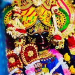 shrihitradhavallabhlal profile picture