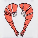 shrimps profile picture
