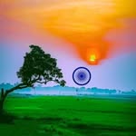 shubhamgupta608 profile picture