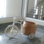 shubham_kadiyan__1396 profile picture