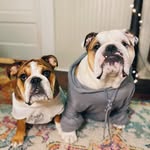 shug_and_bruce profile picture