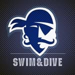shuswimdive profile picture