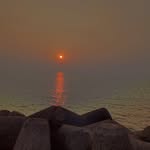shwetali_06 profile picture