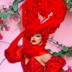 siatequila profile picture