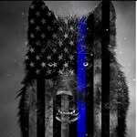 sibwolf_inc profile picture