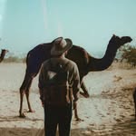 sidharth_vsnv profile picture