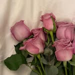 sidra_alibrahim_ profile picture