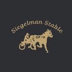 siegelmanstable profile picture
