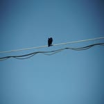 siimple_lifee profile picture