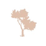 silkoilofmorocco profile picture