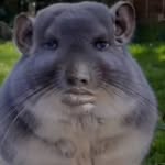 sillydelinquent27 profile picture