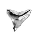 silvertooth.agency profile picture