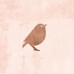 silvina.ledesma.store profile picture