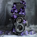 simonbrownphotography profile picture