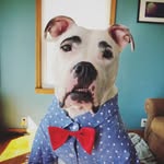 simonbrows profile picture