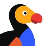 simone_thedodo profile picture