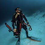 simonlorenz_insiderdivers profile picture