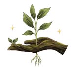 simplygreenpc310 profile picture