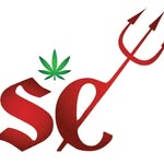 sincitycannabisillinois profile picture