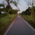 singel__sa___banda_ profile picture