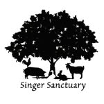 singersanctuary profile picture