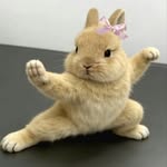 singh._.anshu._.123 profile picture
