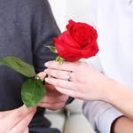 singhhotashish143 profile picture