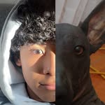 sip4nsota profile picture
