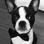 sir_luka profile picture