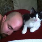 sirshinyhead profile picture