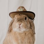 sirwalterflufferton profile picture