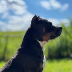 sistaneen profile picture