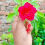 sitakshi5 profile picture
