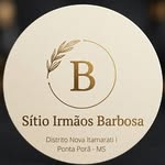 sitioirmaosbarbosa profile picture