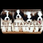 sitstayplayok profile picture