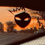 sjehaan profile picture