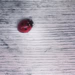 sjlvjetta profile picture