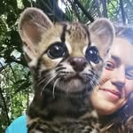 sjzwicker profile picture
